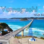 Tỉnh Yamaguchi Nhật Bản – Đặc điểm thời tiết khí hậu ở Yamaguchi